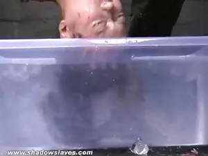 सुनहरे बालों सेक्सी  ...