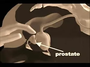 सुंदर बूढ़ी औरत टैक् ...